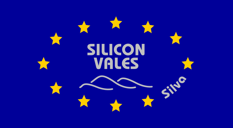 Silva Flag.